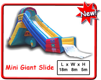 Mini Giant Slide
